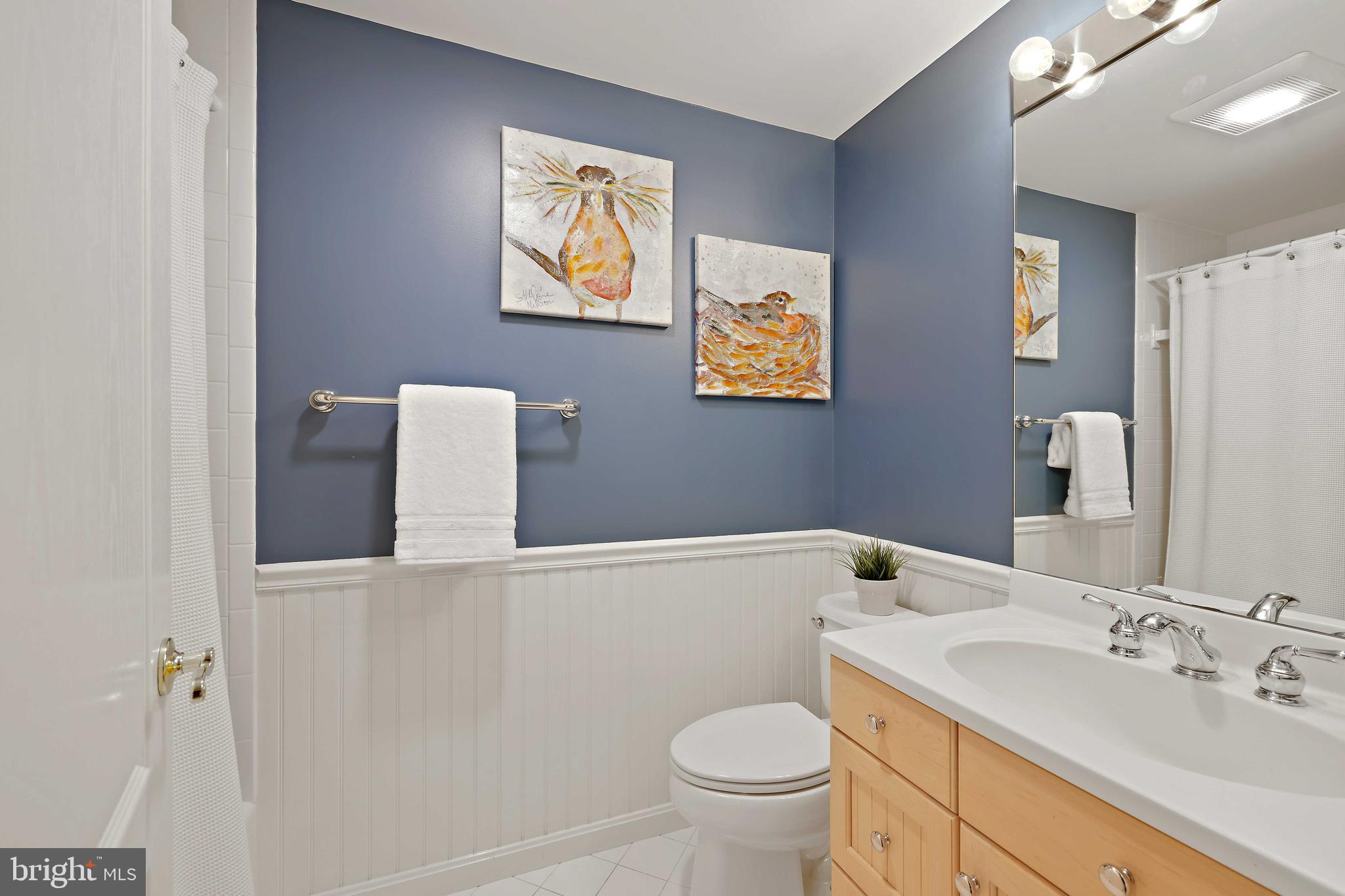 253 Woodard Road Arnold, MD 21012 - Photo 42 of 55 Lower level full bathroom