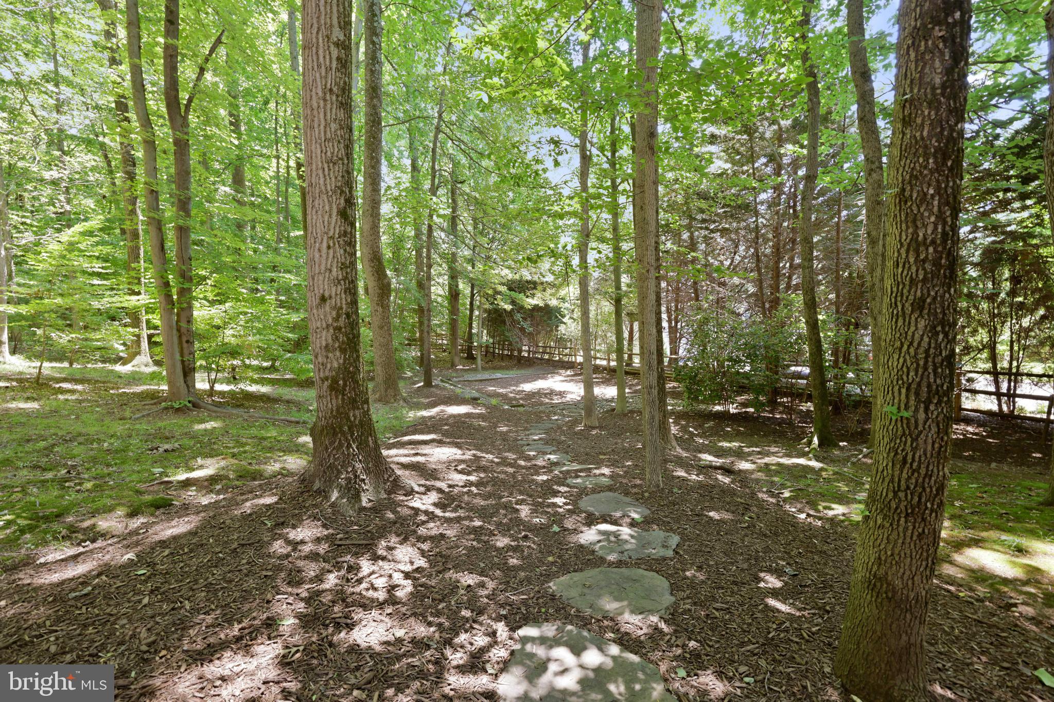 253 Woodard Road Arnold, MD 21012 - Photo 48 of 55 Fenced in backyard