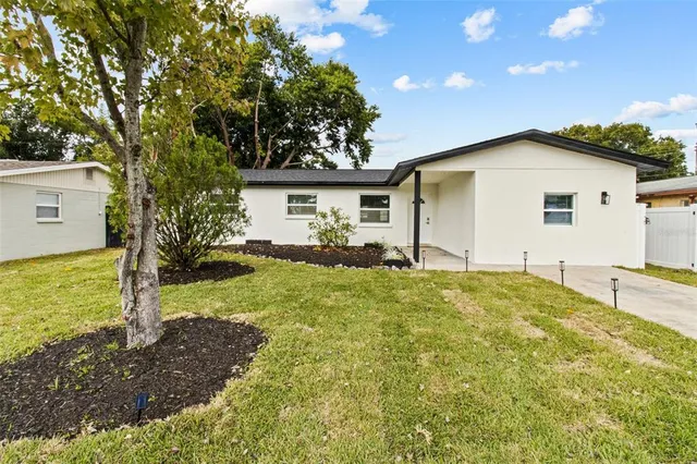 a view of a backyard with plants and large tree