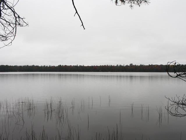 Three Eaglesham Road, Unit LOT Three Lakes, WI 54562 - Photo 1 of 9 Gallery Image 1