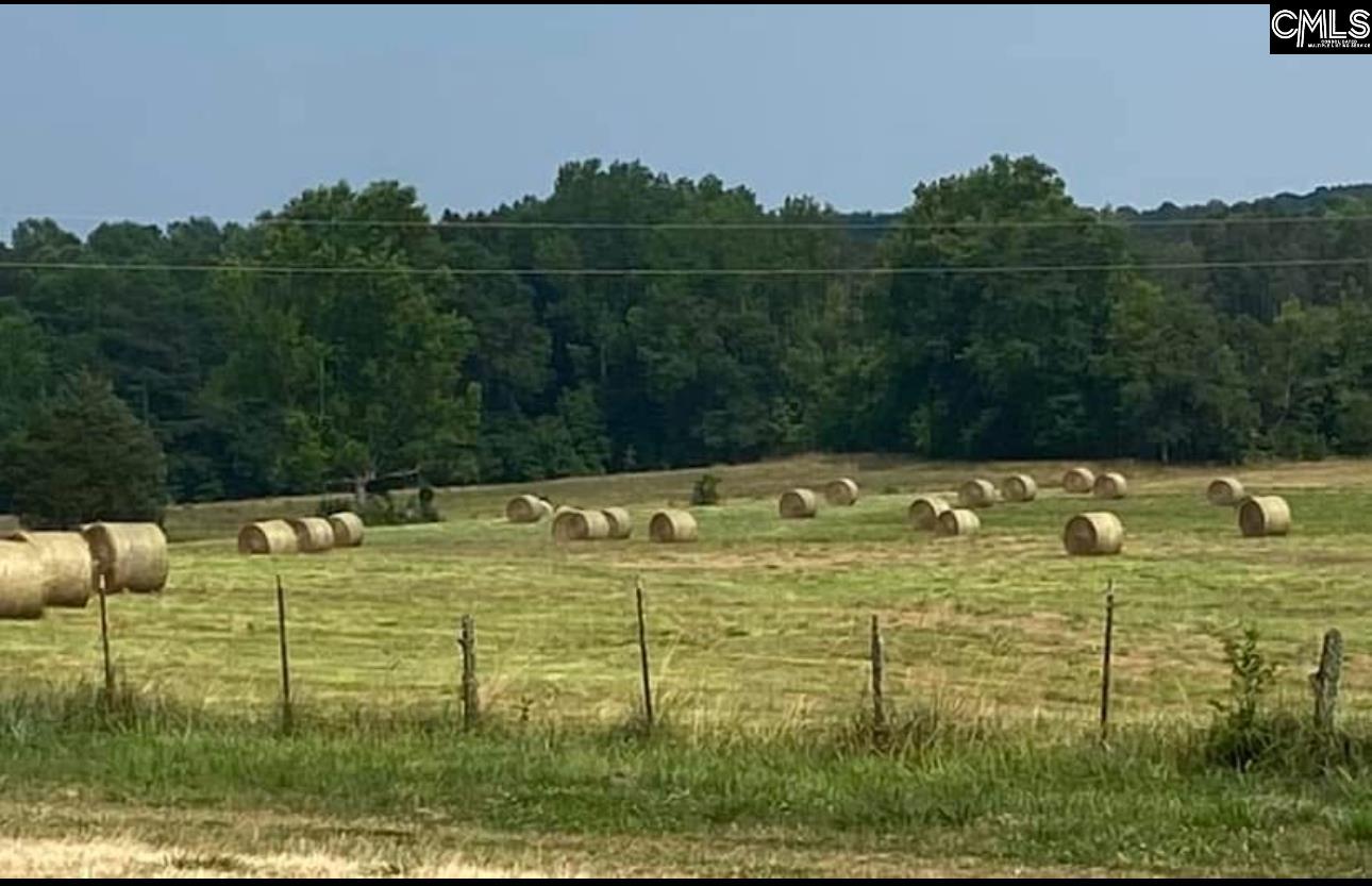 542 Pea Ridge Highway Jonesville, SC 29353 - Photo 75 of 75