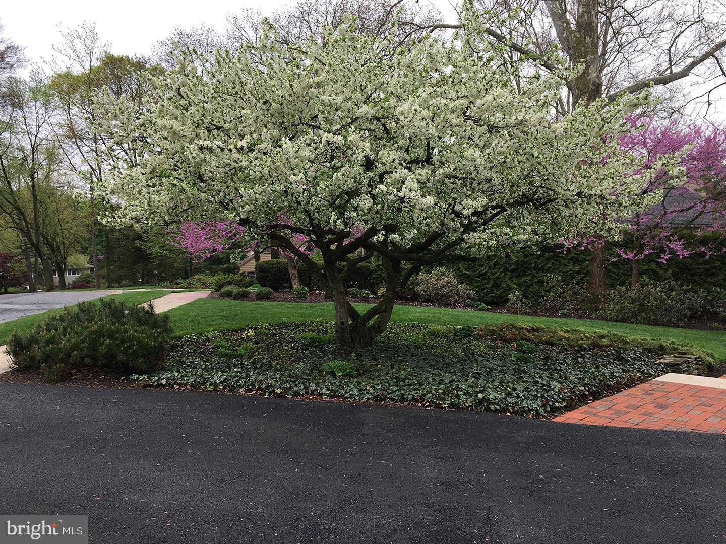 1423 Rose Virginia Road Reading, PA 19610 - Photo 7 of 51 Gallery Image 7