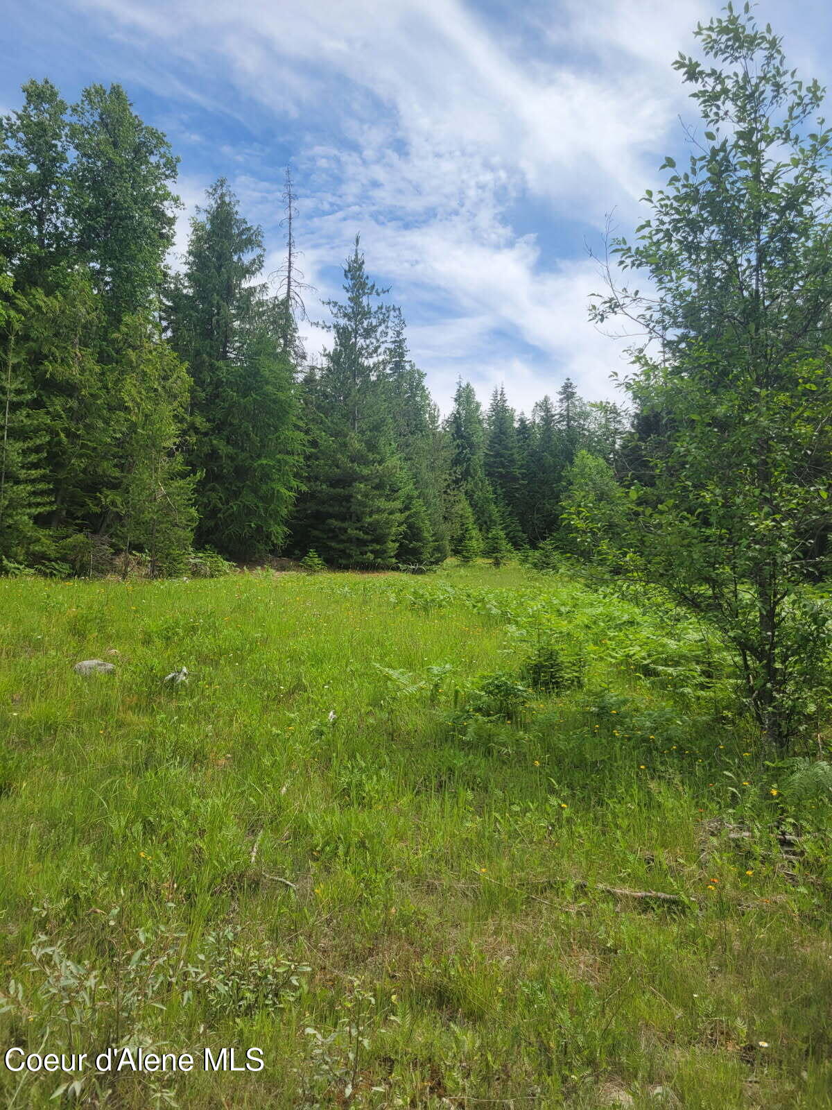 240 Rising Hawk Rdg Road Sandpoint, ID 83864 - Photo 2 of 12 Building Sites