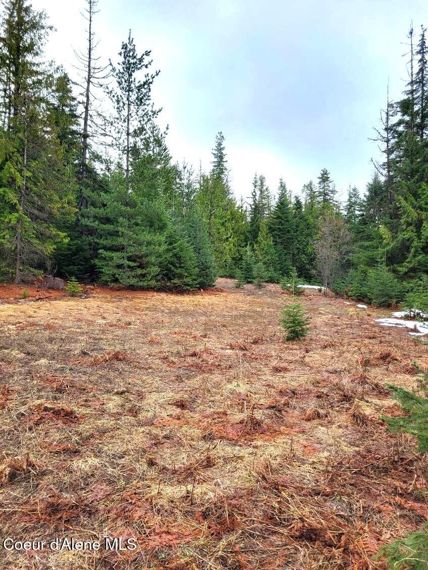 240 Rising Hawk Rdg Road Sandpoint, ID 83864 - Photo 5 of 12 Gently Sloping To Level Parcel