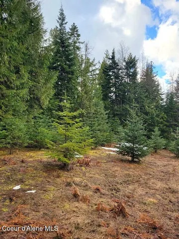 $199,000 | 240 Rising Hawk Rdg Road, Sandpoint, ID 83864