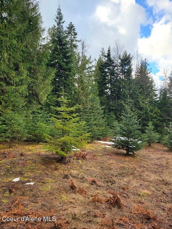 240 Rising Hawk Rdg Road Sandpoint, ID 83864 - Photo 8 of 12 Gently Sloping