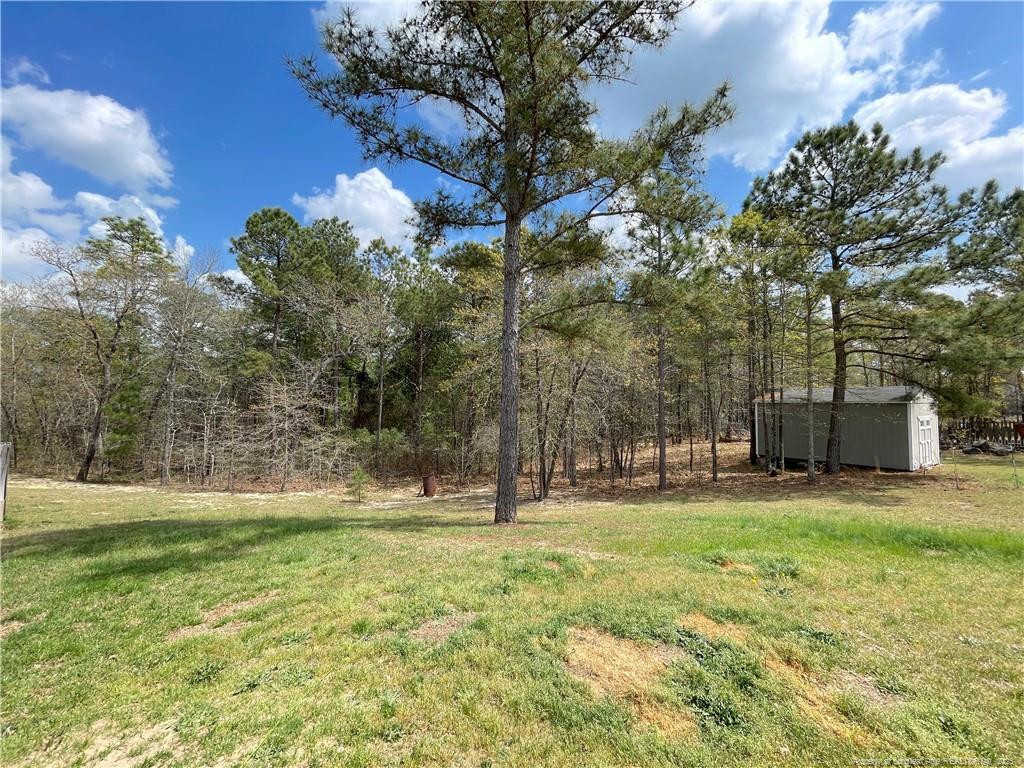 178 Angel Oak Drive Bunnlevel, NC 28323 - Photo 13 of 15 a garden view with tall trees