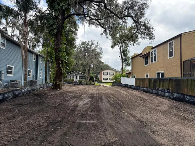 a road view with large trees