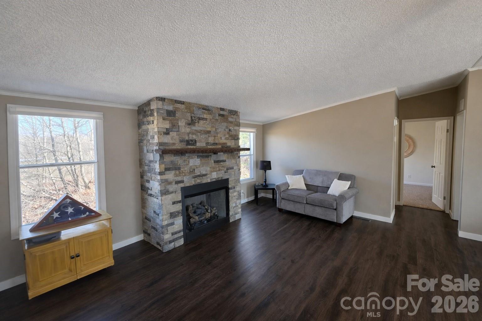 265 Bane Road Mills River, NC 28759 - Photo 11 of 16 Gallery Image 11