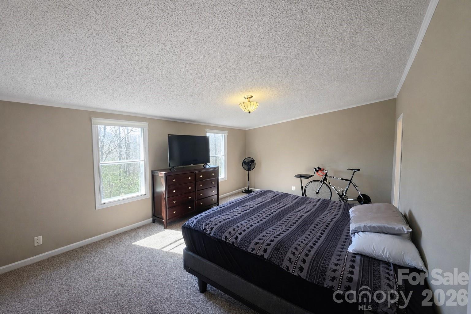 265 Bane Road Mills River, NC 28759 - Photo 8 of 16 Gallery Image 8