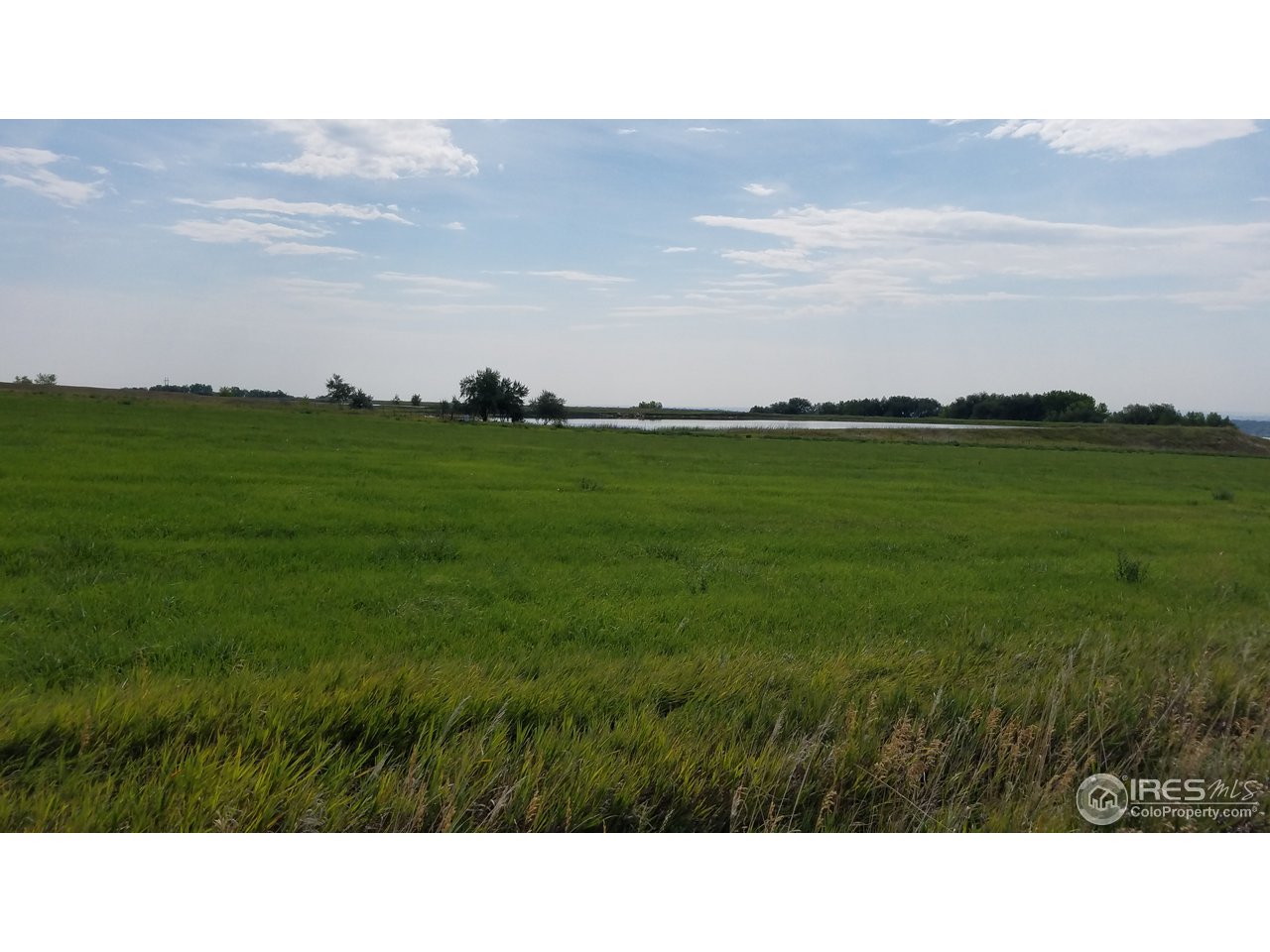 0 Ute Road Longmont, CO 80503 - Photo 5 of 15