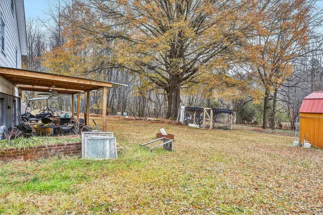 a view of a backyard with large trees