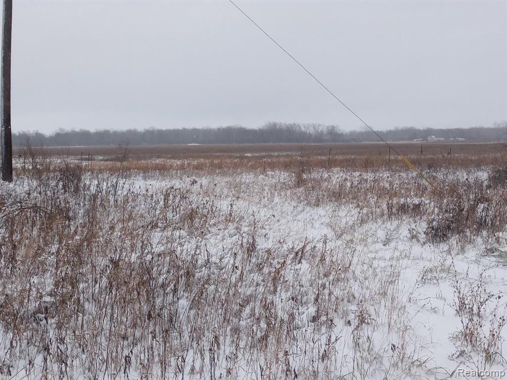 13878 Fisher Road Yale, MI 48097 - Photo 1 of 4