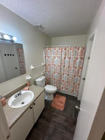 a bathroom with a sink toilet and shower