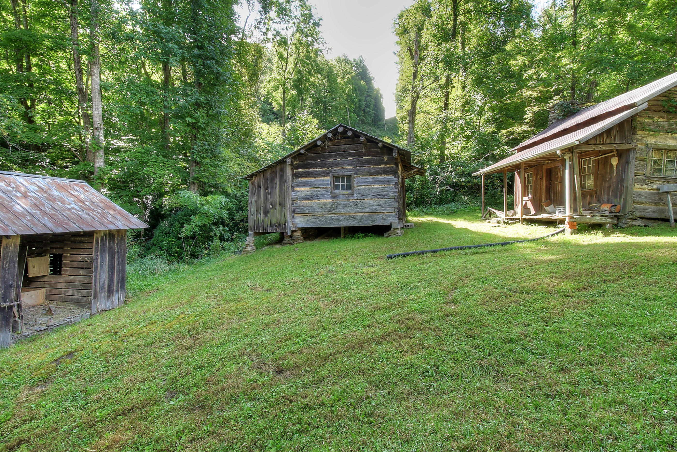 242 Little Branch Road Erwin, TN 37650 - Photo 54 of 62 DSC_0208_09_10
