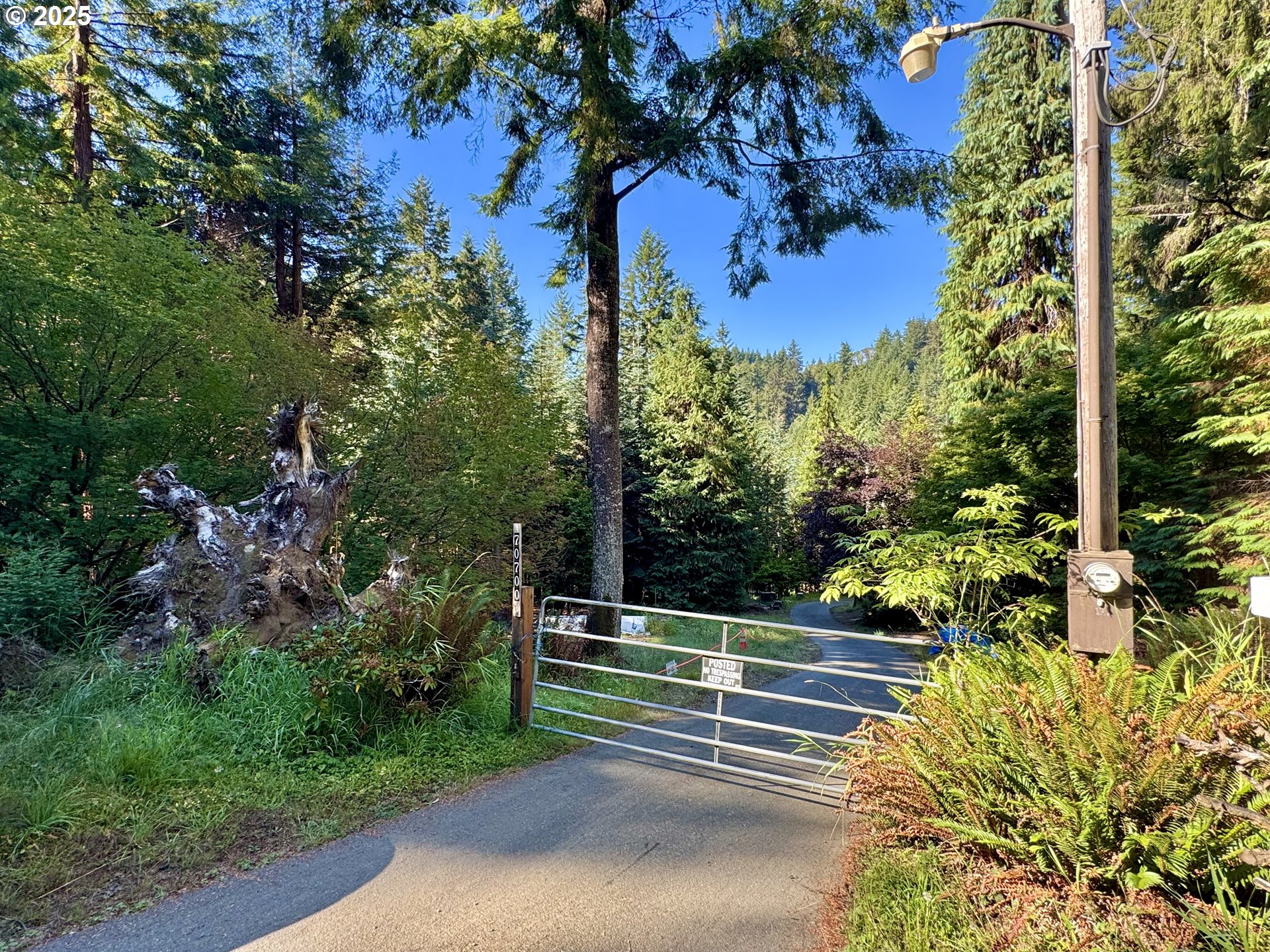 70700 Majestic Shores Road North Bend, OR 97459 - Photo 44 of 48 a view of a house with a tree