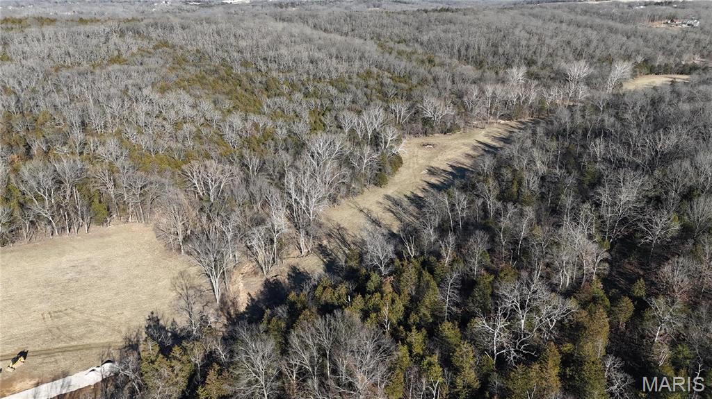 6 Lot Hematite Farms Road Festus, MO 63028 - Photo 3 of 3
