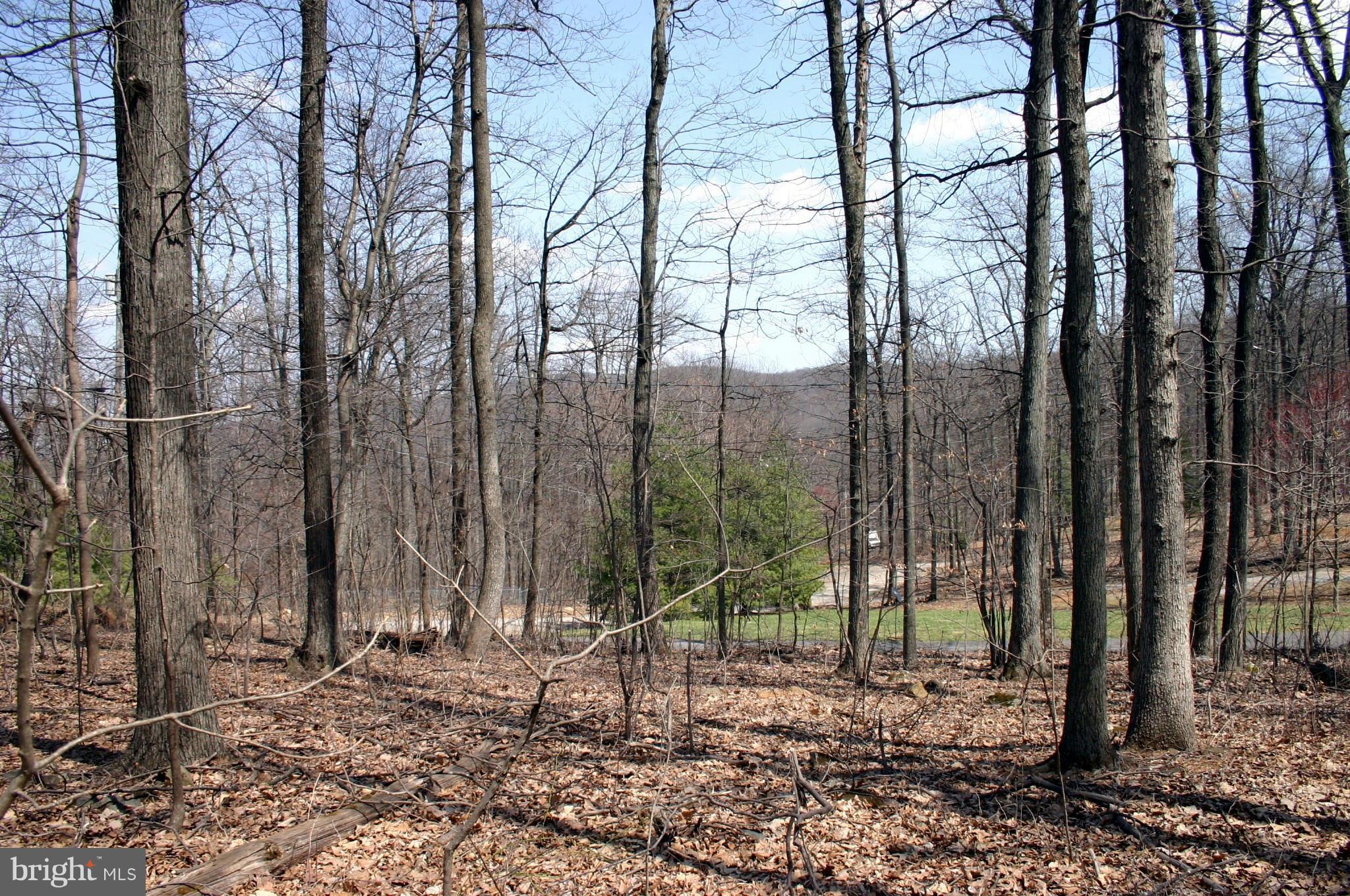Parkside Road Linden, VA 22642 - Photo 1 of 4 Exterior (Front)