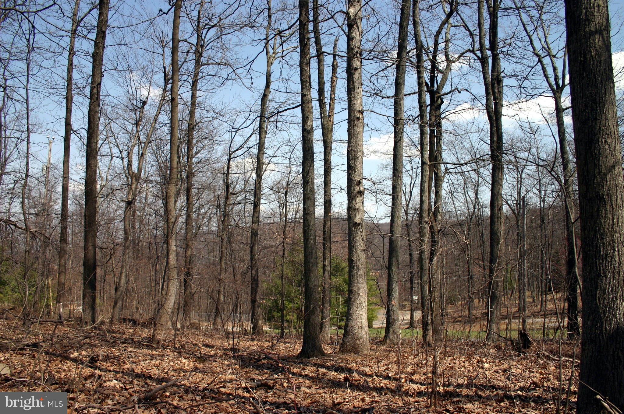Parkside Road Linden, VA 22642 - Photo 2 of 4 View