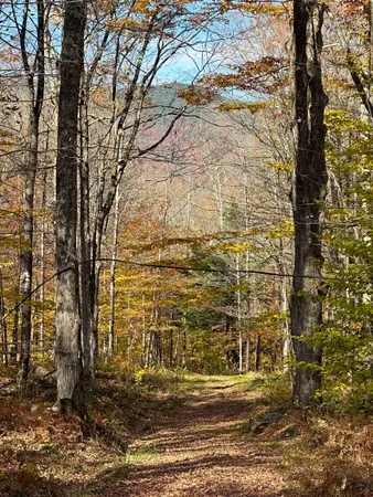 $825,000 | 1928 Highway 131, Weathersfield, VT 05156