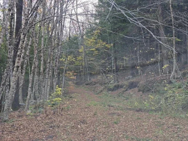 $825,000 | 1928 Highway 131, Weathersfield, VT 05156