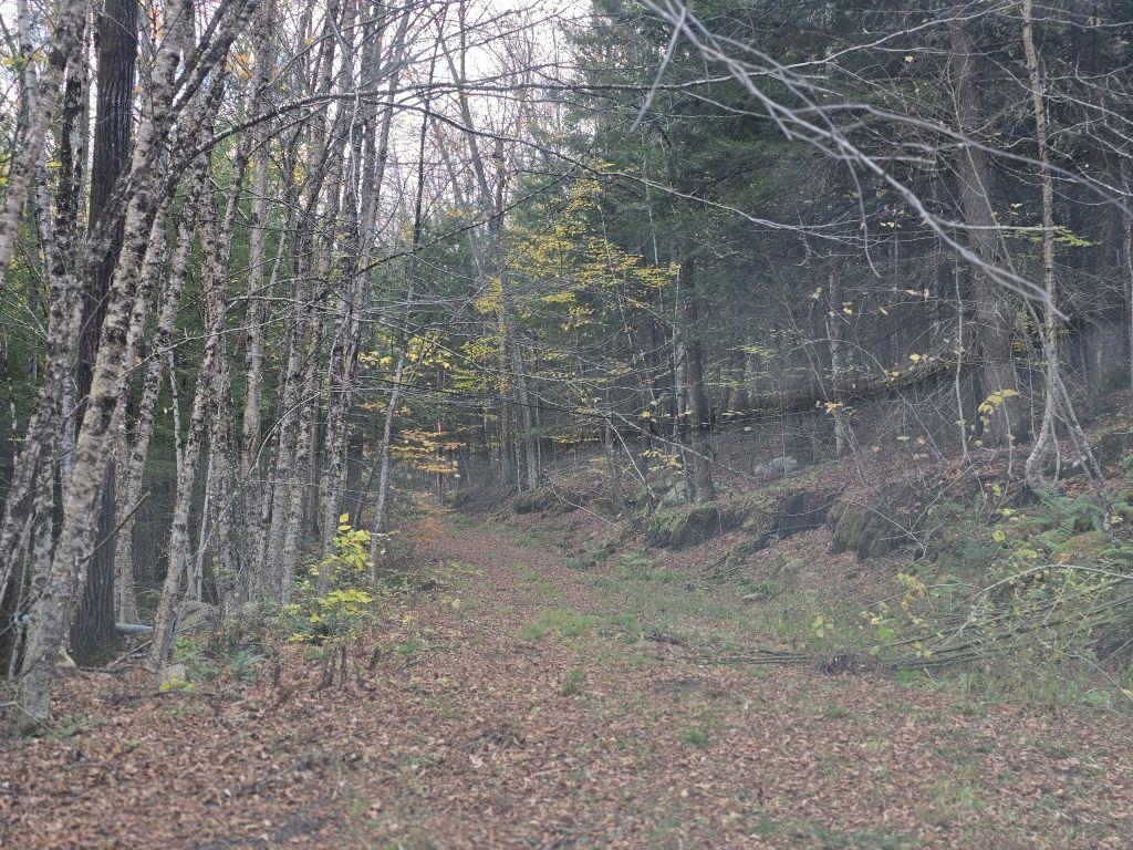 1928 Highway 131 Weathersfield, VT 05156 - Photo 15 of 17