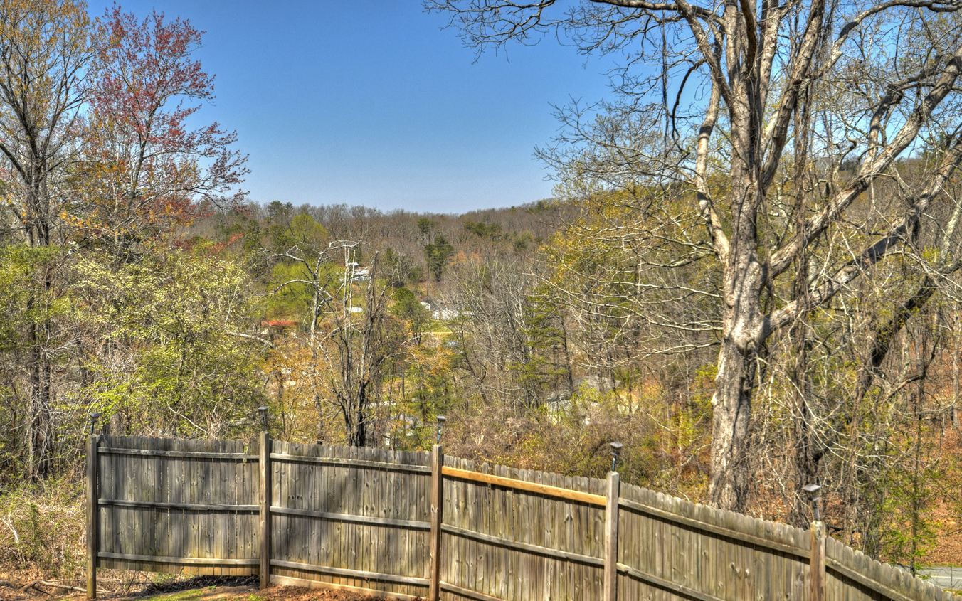 852 Bullen Gap Road Blue Ridge, GA 30513 - Photo 31 of 46 Additional View