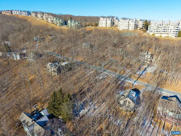 a view of a dry yard with green space