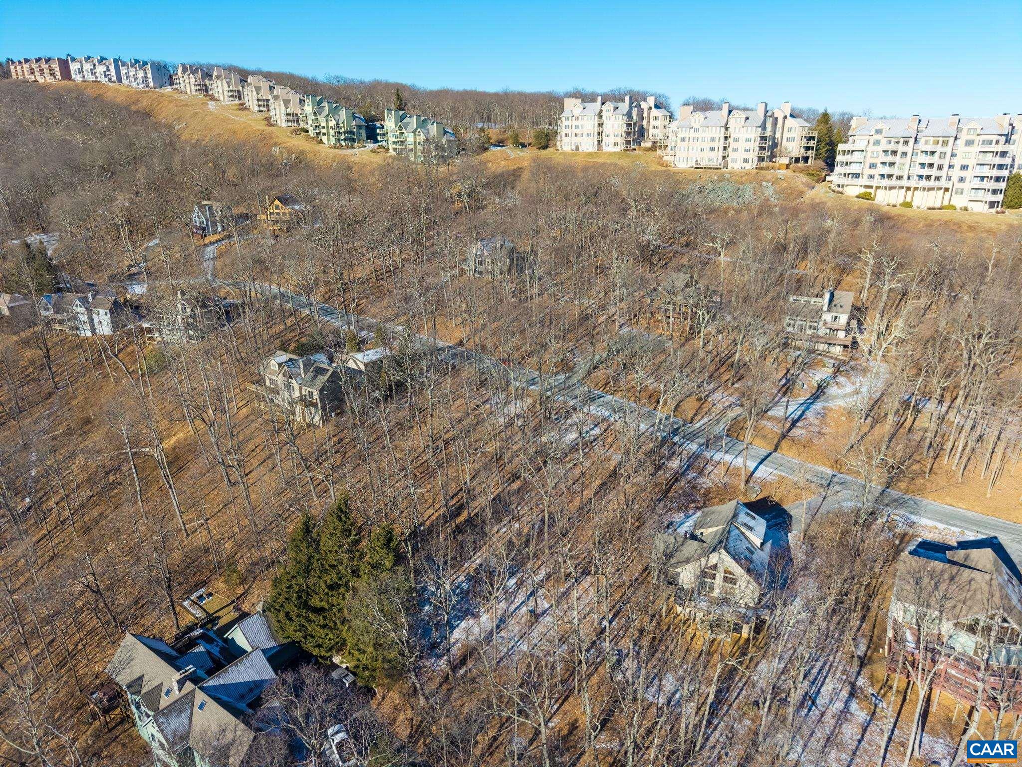 211 Chestnut Place Roseland, VA 22967 - Photo 12 of 16