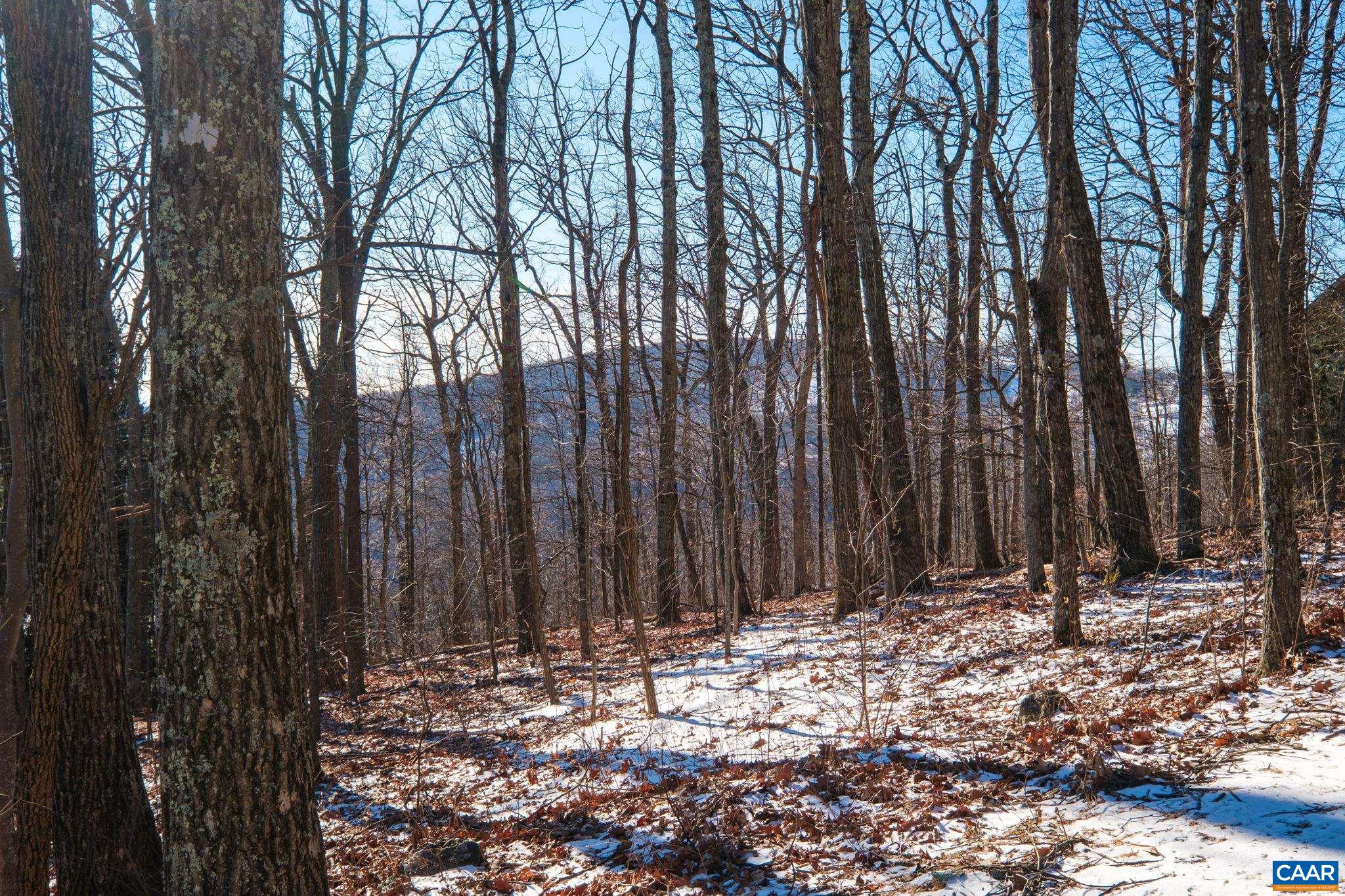 211 Chestnut Place Roseland, VA 22967 - Photo 6 of 16