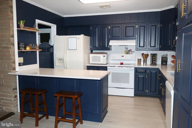 $2,650 | 25049 Ocean Gateway, Mardela Springs, MD 21837