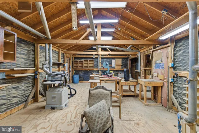 a view of a plants with a flower garden