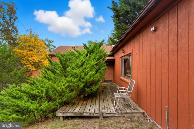 a view of a garage with plants