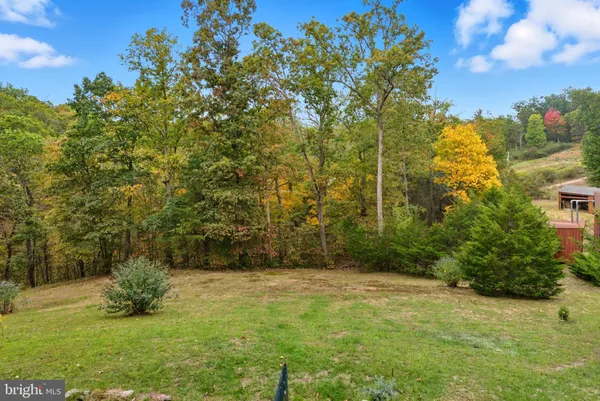 a view of yard with trees