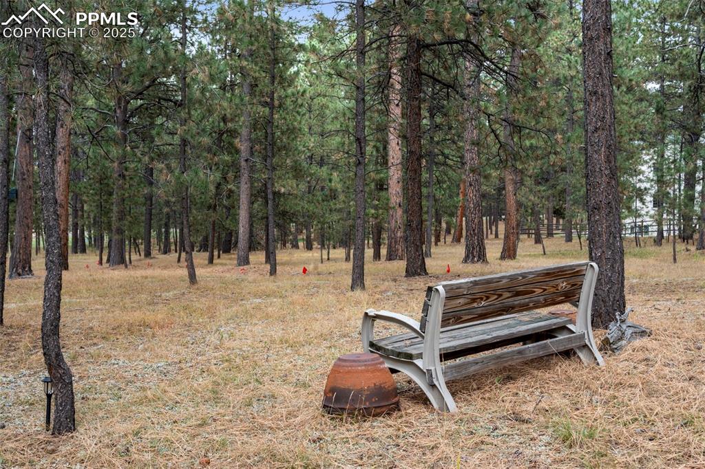 20175 Wissler Ranch Road Colorado Springs, CO 80908 - Photo 41 of 41