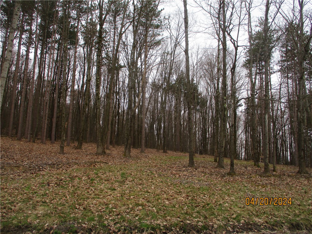 72 Dodd L-5 Road Windsor, NY 13865 - Photo 1 of 1