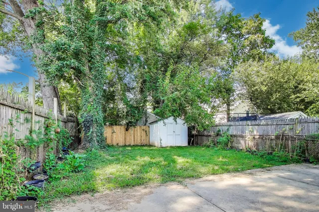 a backyard of a house with plants and large trees