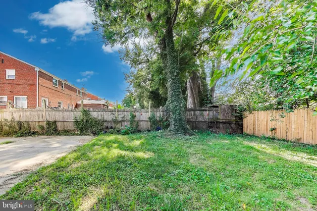 a view of a backyard with potted plants and large tree