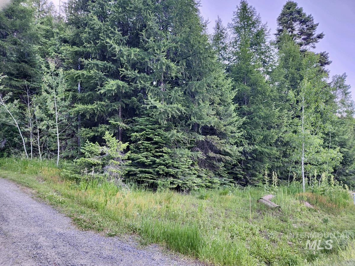1457 West Mountain Road Cascade, ID 83611 - Photo 4 of 15