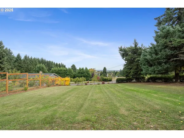 a view of a yard with plants and wooden fence