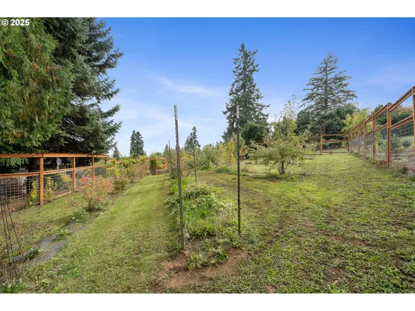 a backyard of a house with a small yard and wooden fence