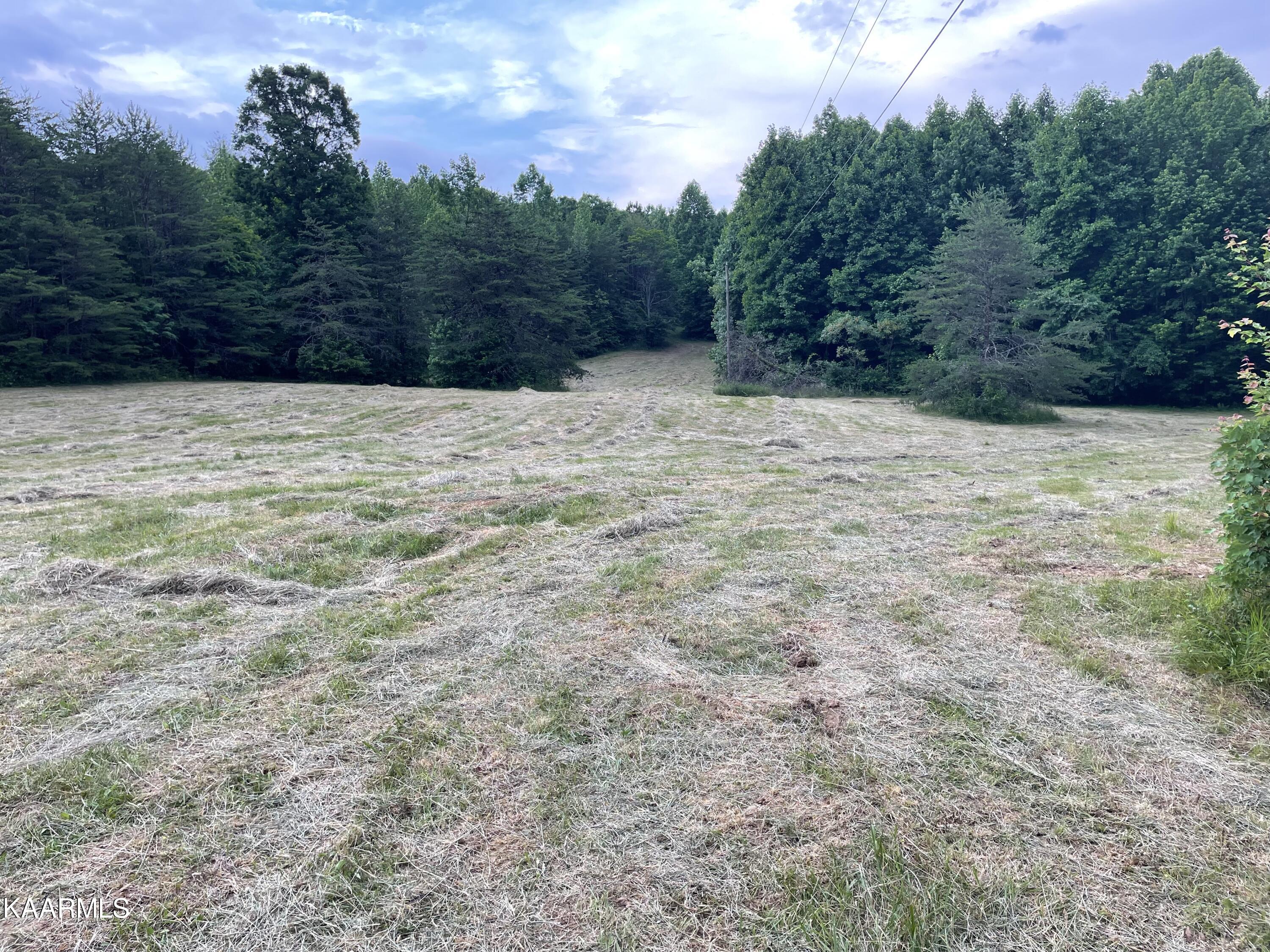 336 Duckett Ridge Road Tellico Plains, TN 37385 - Photo 1 of 19 IMG-1620
