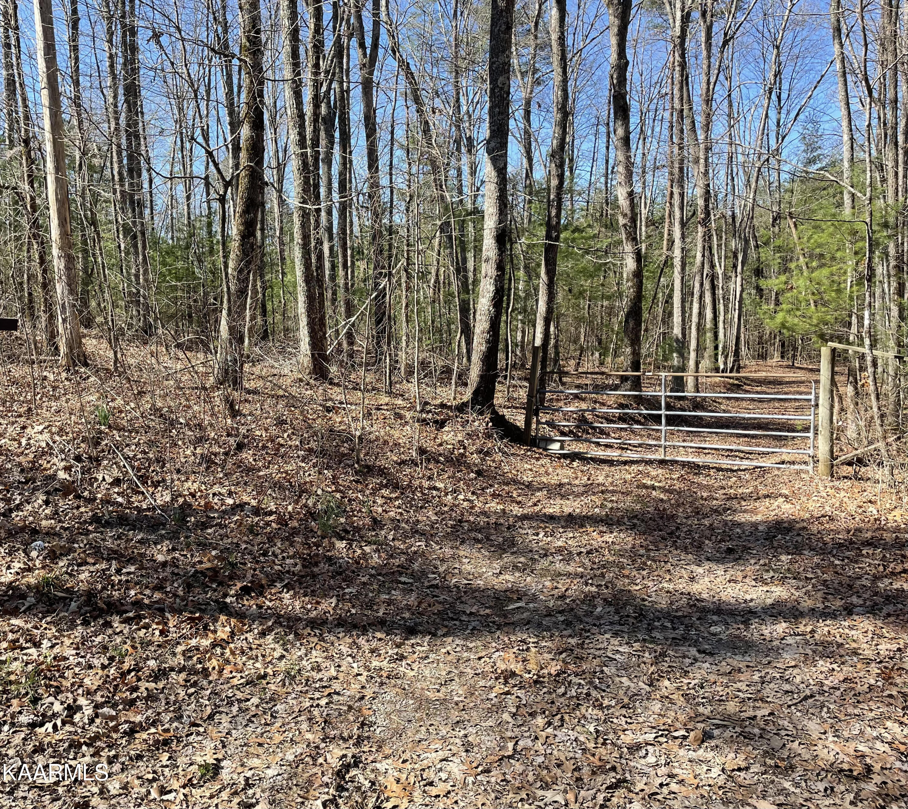 336 Duckett Ridge Road Tellico Plains, TN 37385 - Photo 6 of 19 Duck1