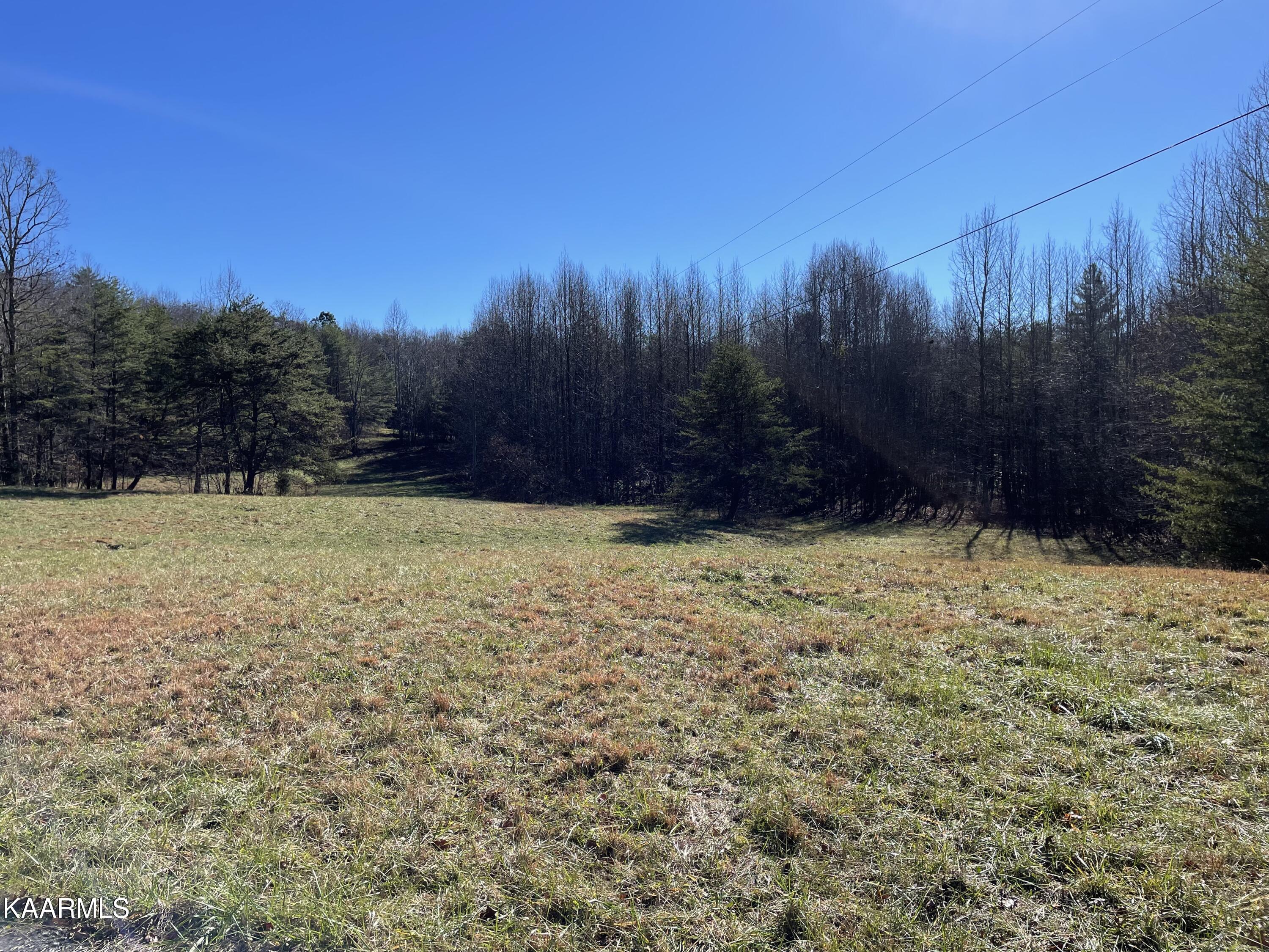 336 Duckett Ridge Road Tellico Plains, TN 37385 - Photo 10 of 19 IMG_0784