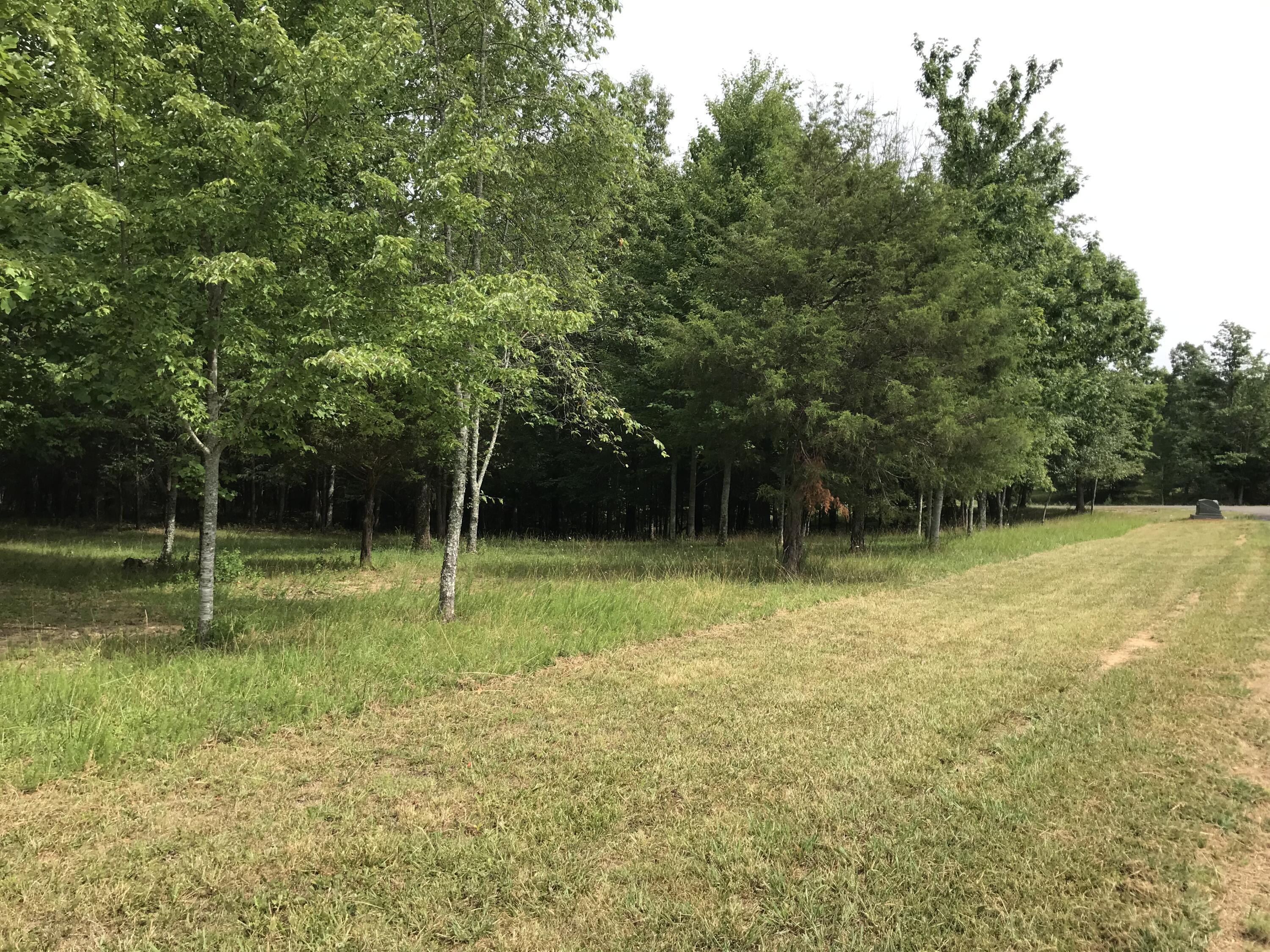 0 Quail Trail, Unit 38 Dunlap, TN 37327 - Photo 32 of 36 IMG_8510