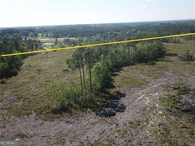 a view of a forest with a forest