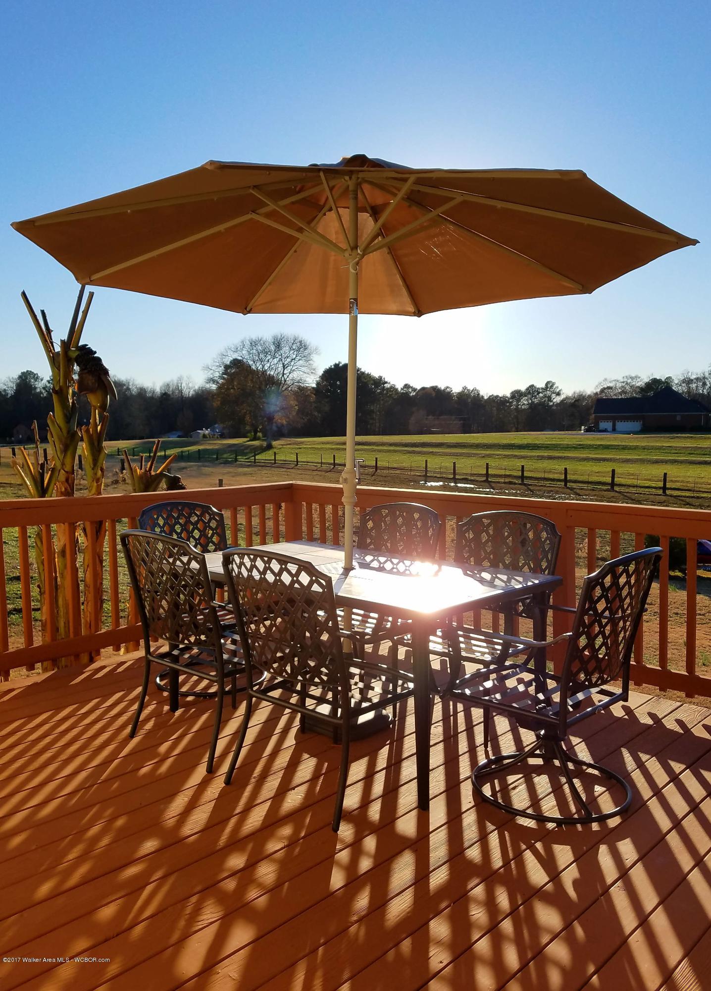 1985 Boldo Road Jasper, AL 35504 - Photo 20 of 20 Gallery Image 20