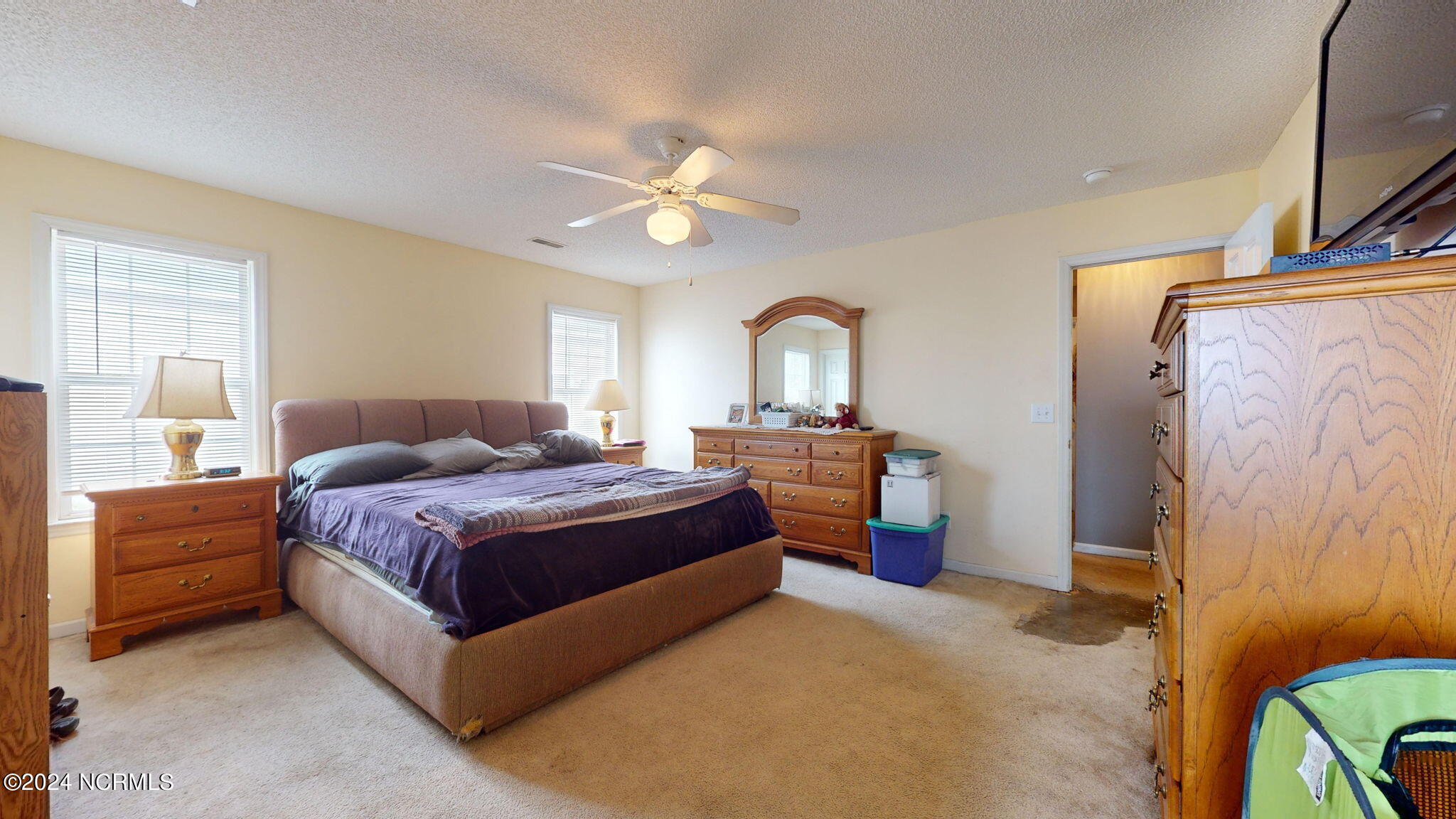 1303 Maple Ridge Road Wilmington, NC 28411 - Photo 18 of 41 29-web-or-mls-VTP-1303-Maple-Ridge-Rd-03
