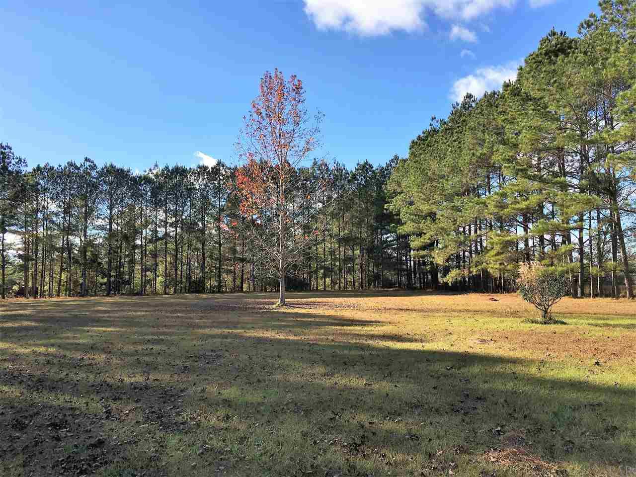 11851 Breman Road Elberta, AL 36530 - Photo 13 of 21