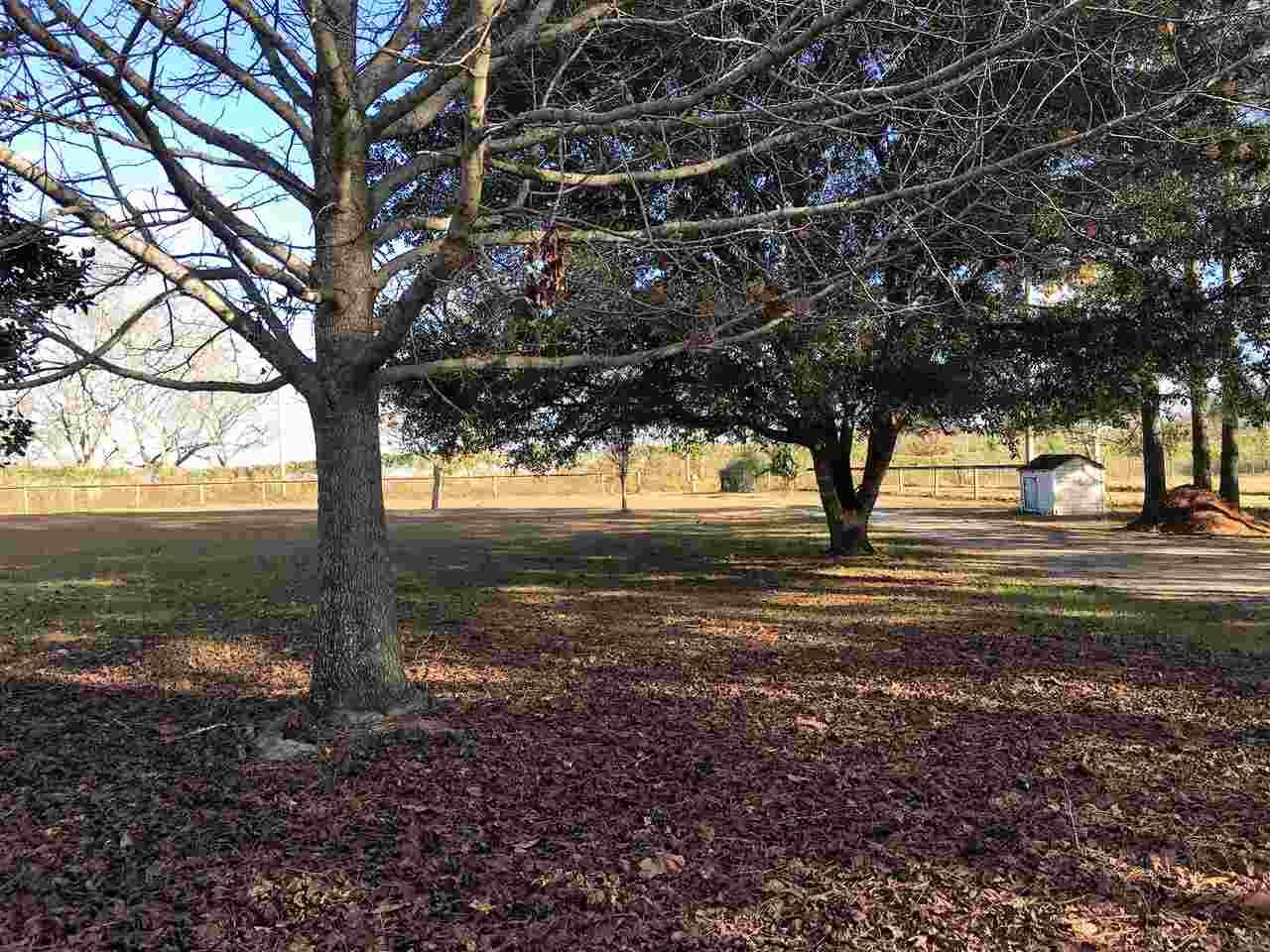 11851 Breman Road Elberta, AL 36530 - Photo 15 of 21